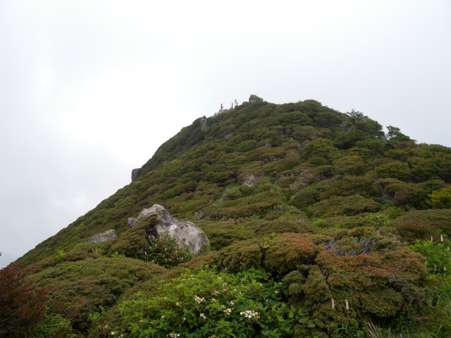 e0272335_828050.jpg