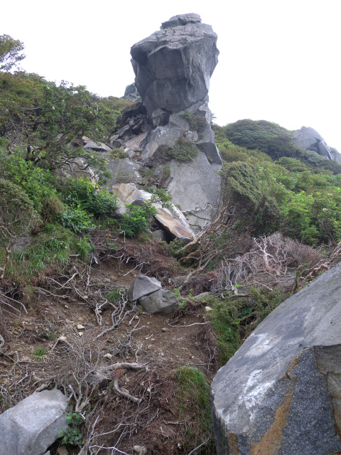 e0272335_8323038.jpg