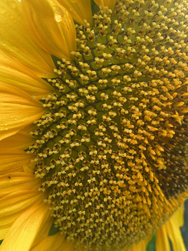 c0225536_05025768.jpg