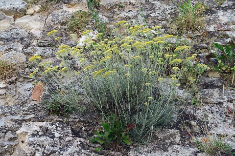 f0234936_5324970.jpg