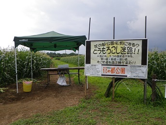 b0312438_12110614.jpg