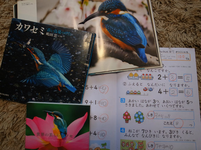 a0087341_12362799.jpg