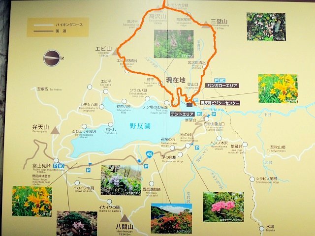 b0122448_17121080.jpg