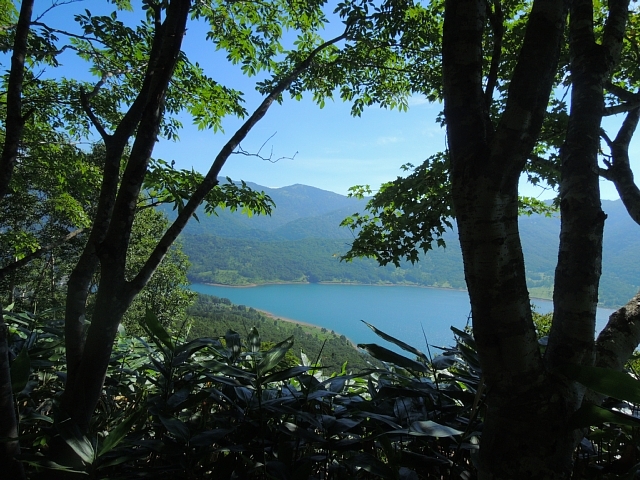 b0122448_17134954.jpg