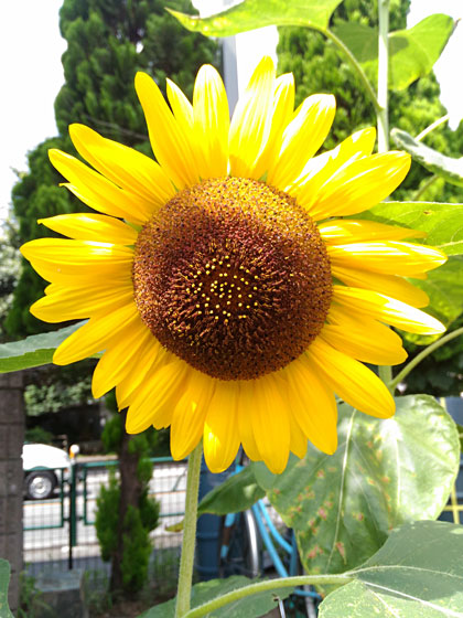 c0335348_071429.jpg