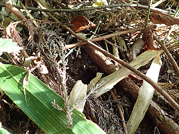 f0214649_401265.jpg