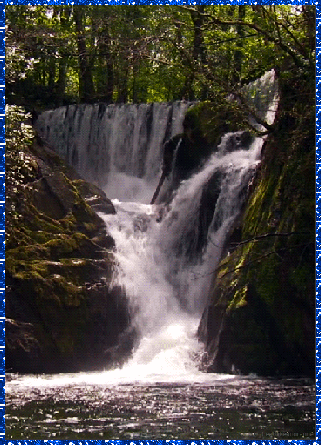 b0133752_23474017.gif