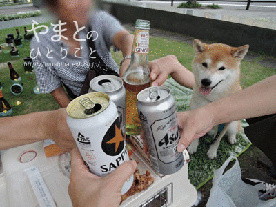 a0286855_62723100.gif