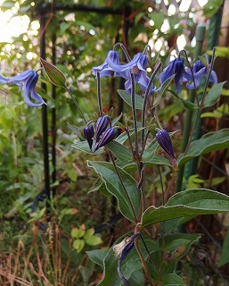 e0004756_20414022.jpg