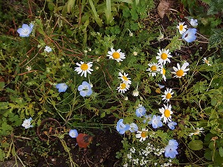 e0004756_2132280.jpg