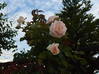 e0004756_2183199.jpg