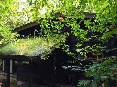 e0001860_16335150.jpg