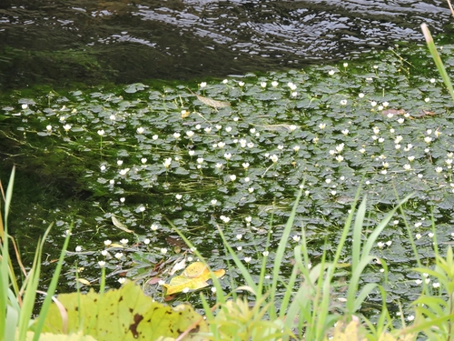 e0351973_2154238.jpg