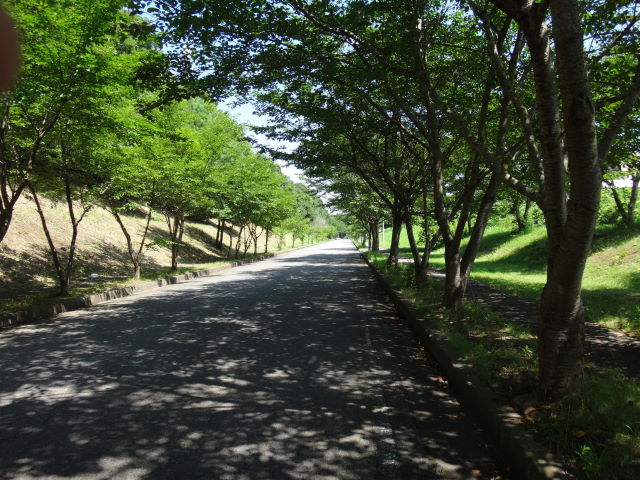a0113874_23135887.jpg