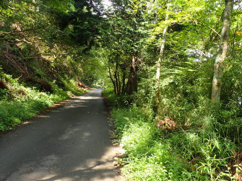 c0286574_10442235.jpg