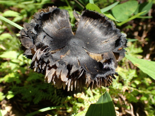 c0286574_10465261.jpg
