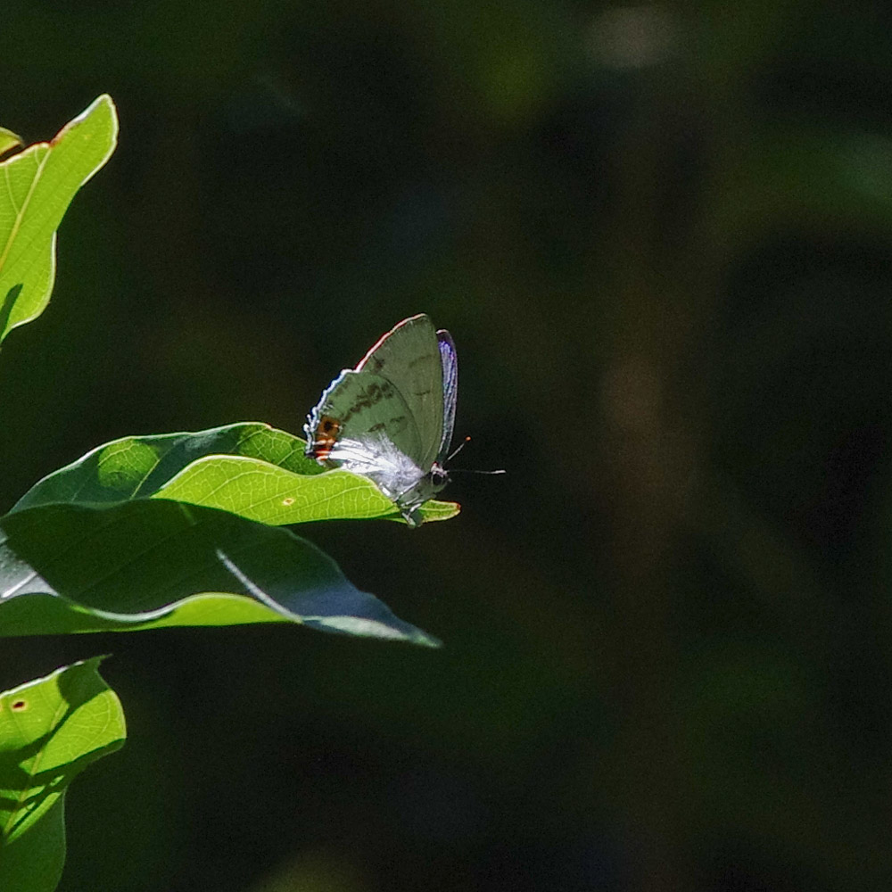 a0338085_22472285.jpg