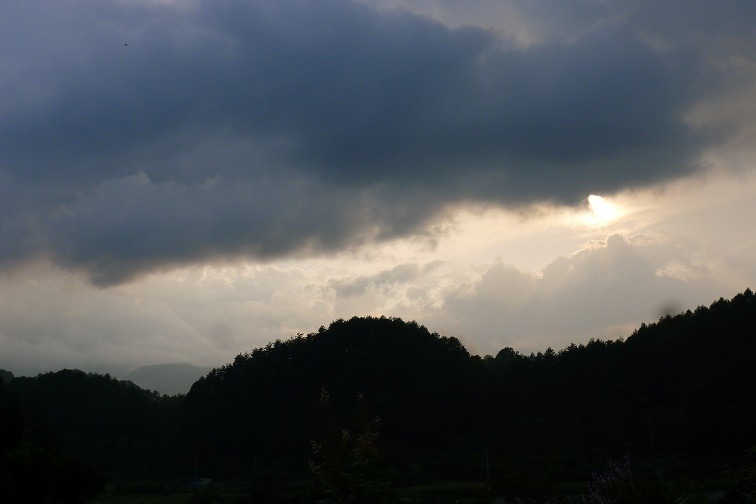 a0130586_21375372.jpg