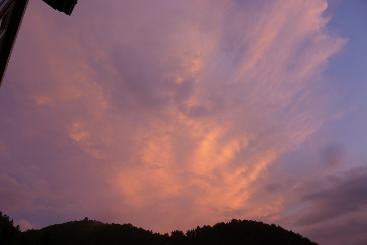 a0130586_215425.jpg