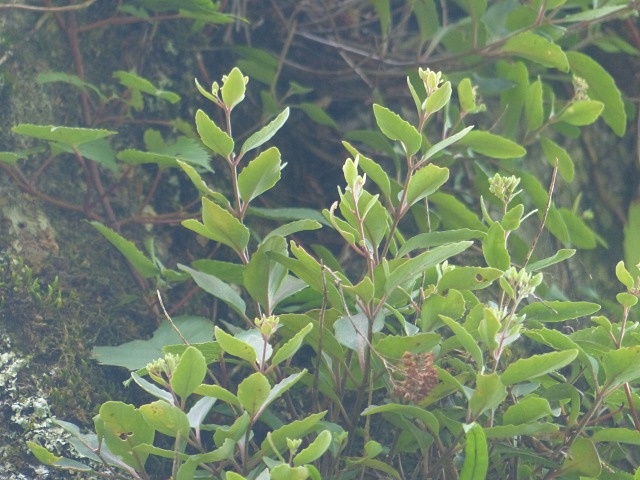 f0357487_21553885.jpg