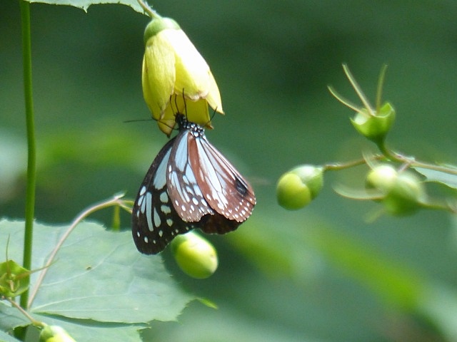 f0357487_2313212.jpg