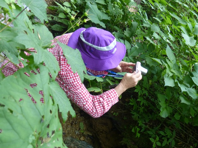 f0357487_237559.jpg