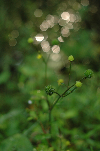 a0061599_7484141.jpg