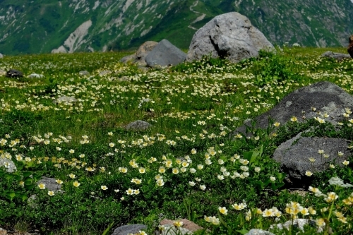 e0304001_12151780.jpg