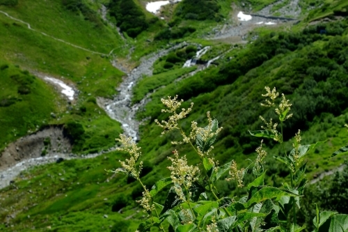 e0304001_12402326.jpg