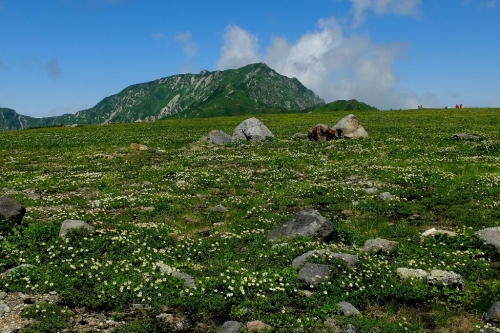 e0304001_12404410.jpg