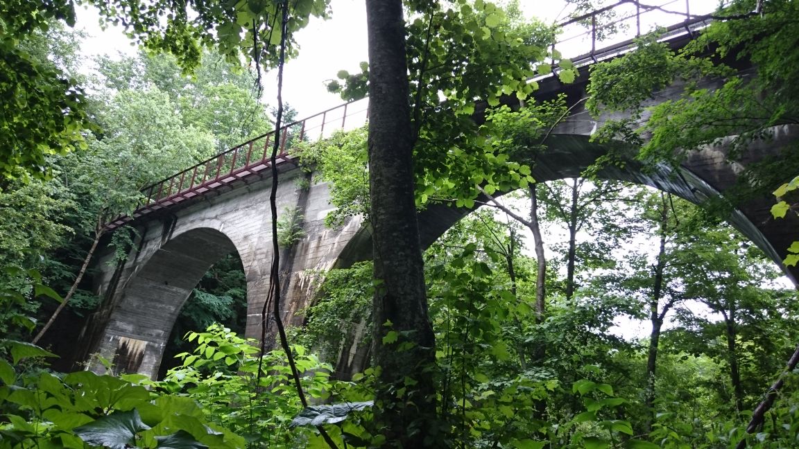 b0172805_1744036.jpg
