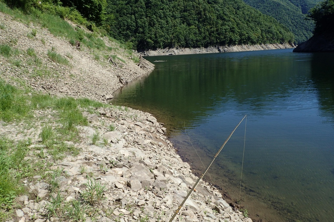 d0051707_21070618.jpg