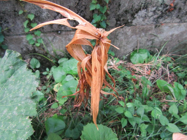 f0231709_14132650.jpg
