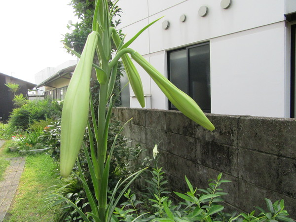 f0231709_1417211.jpg