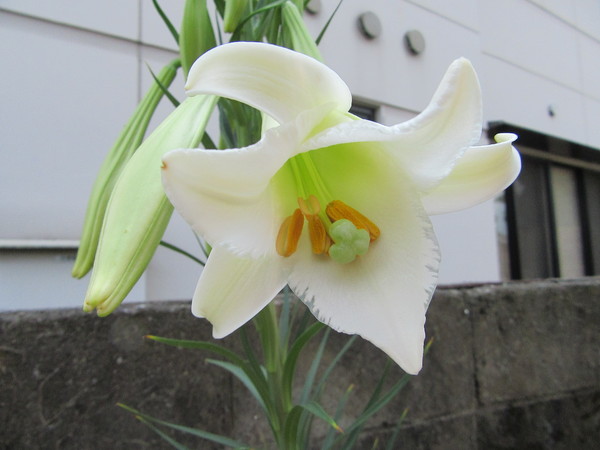 f0231709_1441980.jpg