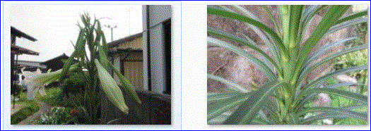 f0231709_1471312.gif