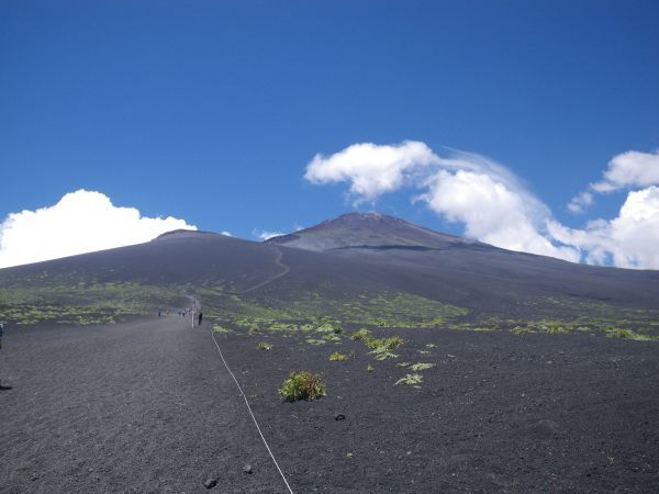 d0006512_11070212.jpg
