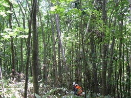 c0173813_19295329.jpg