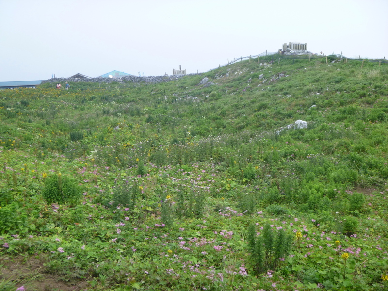 d0170615_183657100.jpg