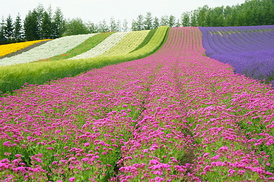 f0037227_19404891.jpg