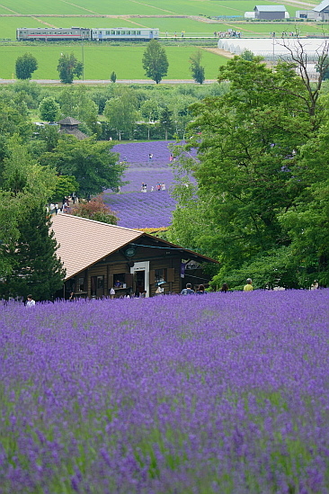 f0037227_19454350.jpg