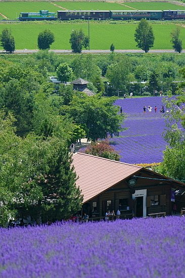 f0037227_19555567.jpg