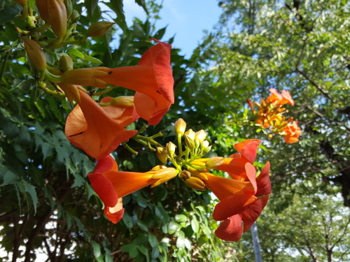 e0016828_10095710.jpg