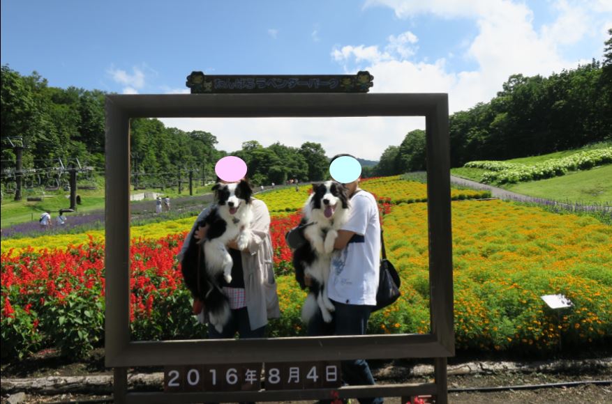 c0147241_15251440.jpg