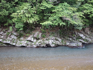 e0138350_20584702.jpg
