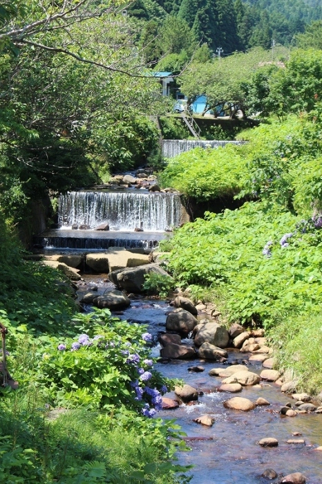 b0250154_18174623.jpg