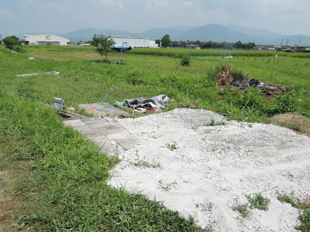 a0144564_1431353.jpg