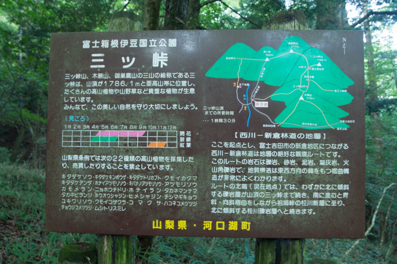c0260264_1326211.jpg