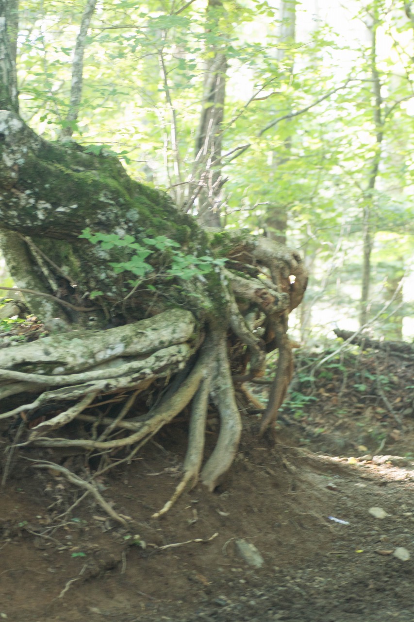 c0260264_13282672.jpg