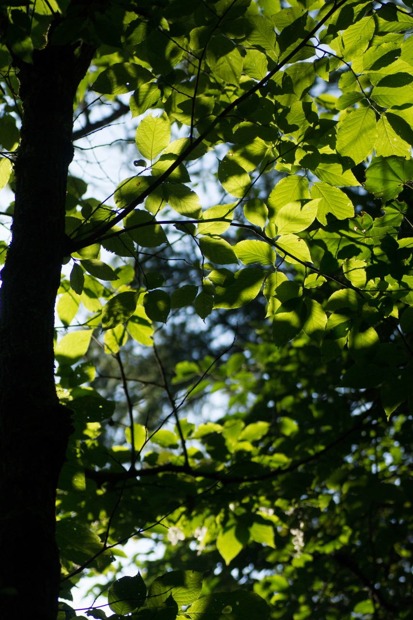 c0260264_1328496.jpg